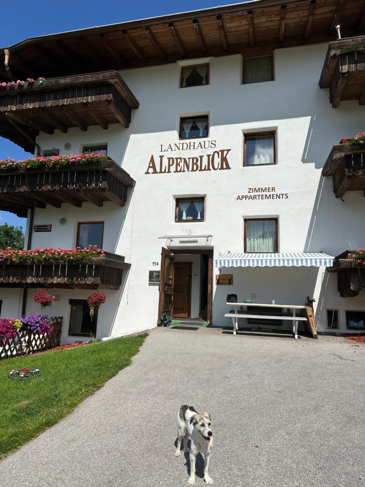 Landhaus Alpenblick Obsteig Eksteriør billede